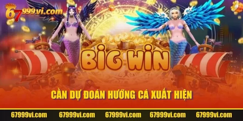 Cần dự đoán hướng cá xuất hiện