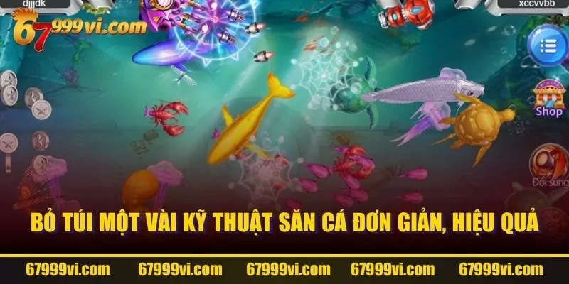 Bỏ túi một vài kỹ thuật săn cá đơn giản, hiệu quả