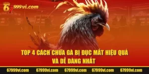 Cách Chữa Gà Bị Đục Mắt