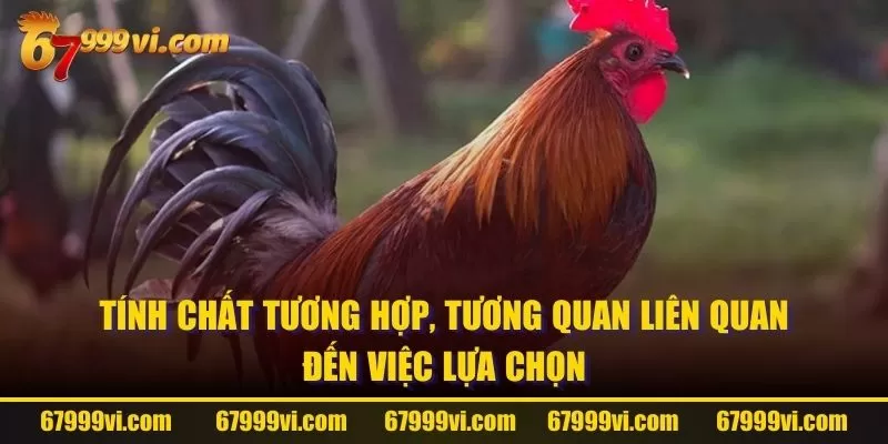 Tính chất tương hợp, tương quan liên quan đến việc lựa chọn