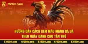 Màu Mạng Gà Đá