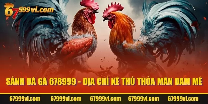 Sảnh Đá Gà 67999 - Địa chỉ kê thủ thỏa mãn đam mê