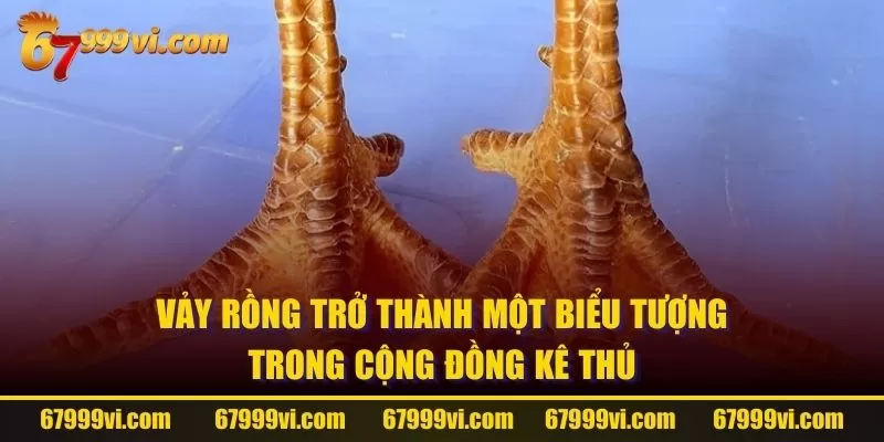 Vảy rồng trở thành một biểu tượng trong cộng đồng kê thủ