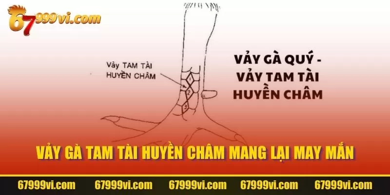 Vảy Gà Tam Tài huyền châm mang lại may mắn