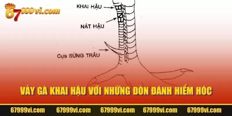 Vảy Gà Khai Hậu với những đòn đánh hiểm hóc