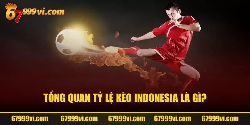 Tổng quan tỷ lệ kèo Indonesia là gì