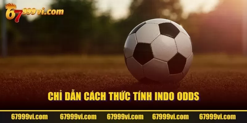 Chỉ dẫn cách thức tính Indo Odds