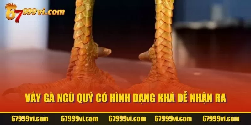 Vảy Gà Ngũ Quỷ có hình dạng khá dễ nhận ra