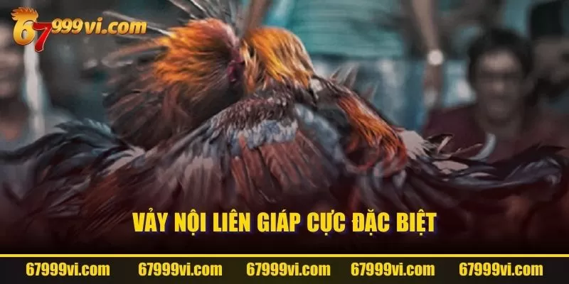 Vảy nội liên giáp cực đặc biệt