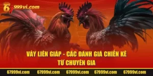 Vảy Liên Giáp