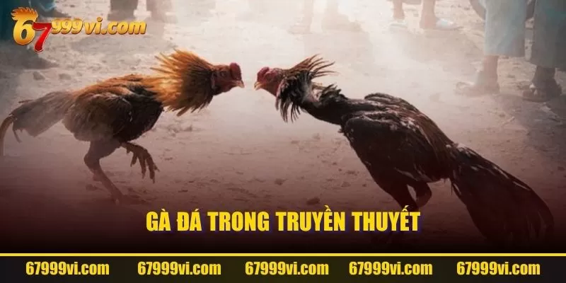 Gà đá trong truyền thuyết