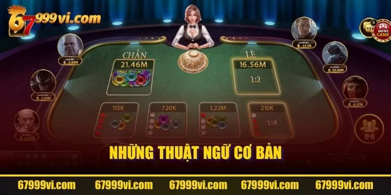 Những thuật ngữ cơ bản