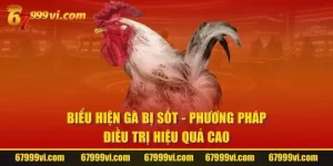 Biểu Hiện Gà Bị Sốt