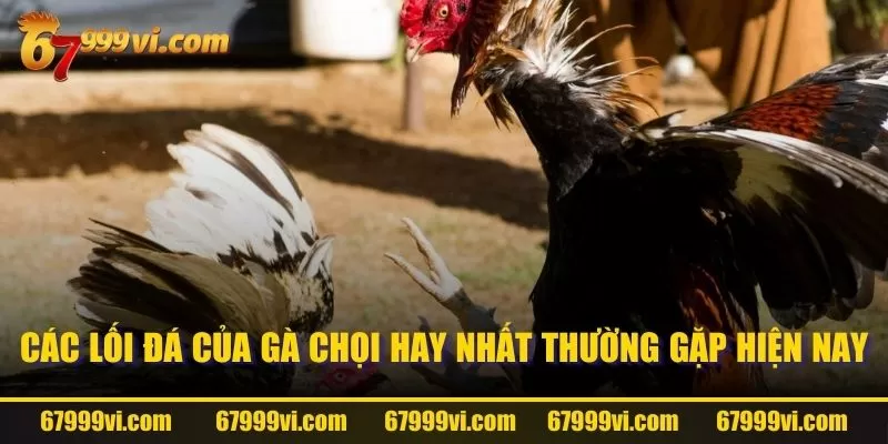 Các lối đá của gà chọi hay nhất thường gặp hiện nay