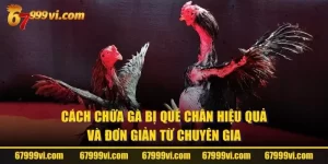 Cách Chữa Gà Bị Què Chân