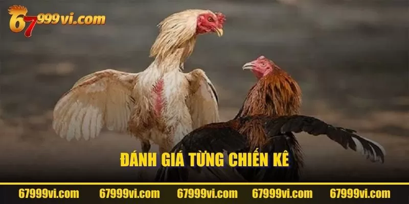 Đánh giá từng chiến kê