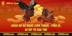 Cách Đá Gà Mạng Luôn Thắng