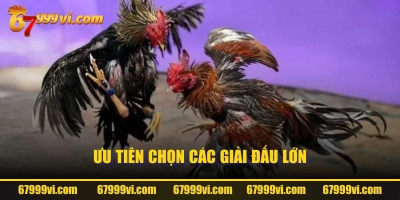 Ưu tiên chọn các giải đấu lớn