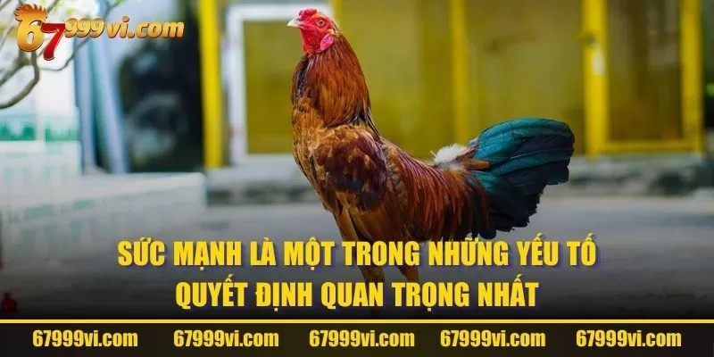 Sức mạnh là một trong những yếu tố quyết định quan trọng nhất