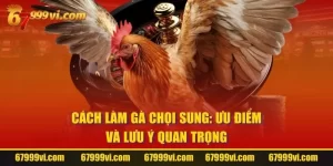 Cách Làm Gà Chọi Sung