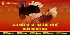 Cách Nhận Biết Gà Thay Lông