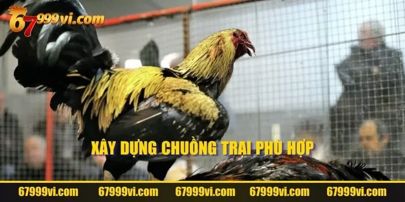 Xây dựng chuồng trại phù hợp