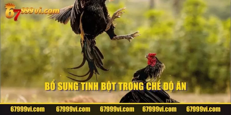 Bổ sung tinh bột trong chế độ ăn