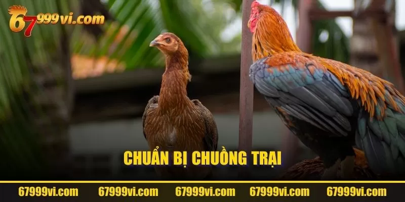 Chuẩn bị chuồng trại