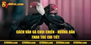 Cách Vần Gà Chọi Chiến