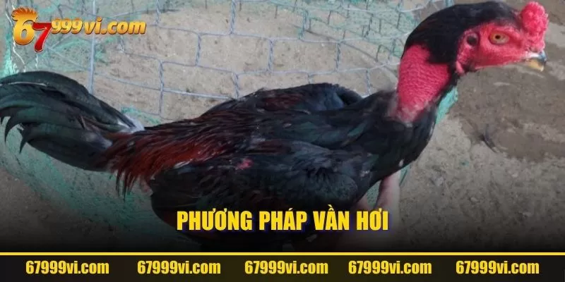 Phương pháp vần hơi