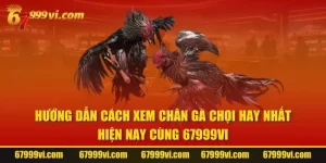 Cách Xem Chân Gà Chọi Hay Nhất Hiện Nay