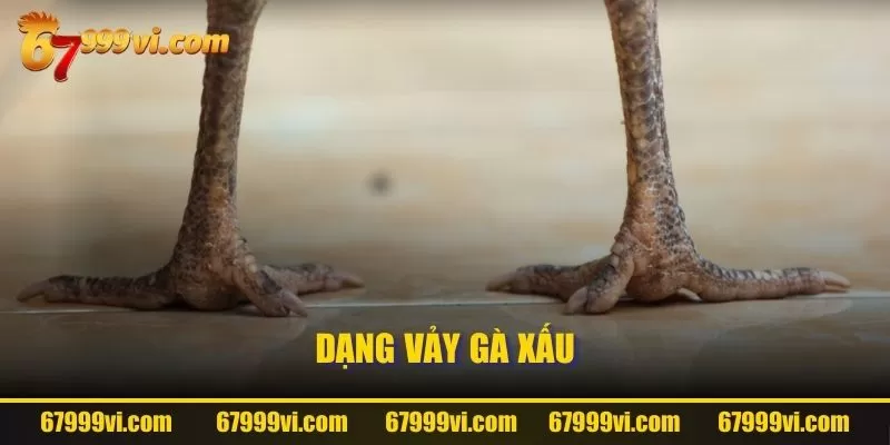 Dạng vảy gà xấu