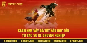 Cách Xem Vảy Gà Tốt Xấu