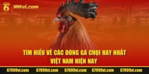 Dòng Gà Chọi Hay Nhất Việt Nam