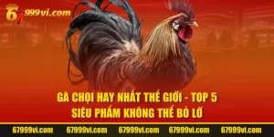 Gà Chọi Hay Nhất Thế Giới