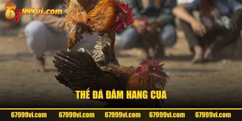 Thế đá đâm hang cua