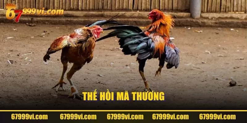 Thế hồi mã thương