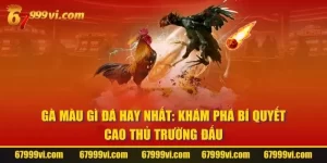 Gà Màu Gì Đá Hay Nhất