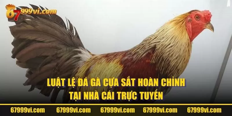 Luật lệ đá gà cựa sắt hoàn chỉnh tại nhà cái trực tuyến