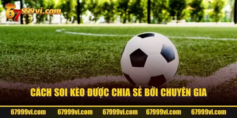 Cách soi kèo được chia sẻ bởi chuyên gia