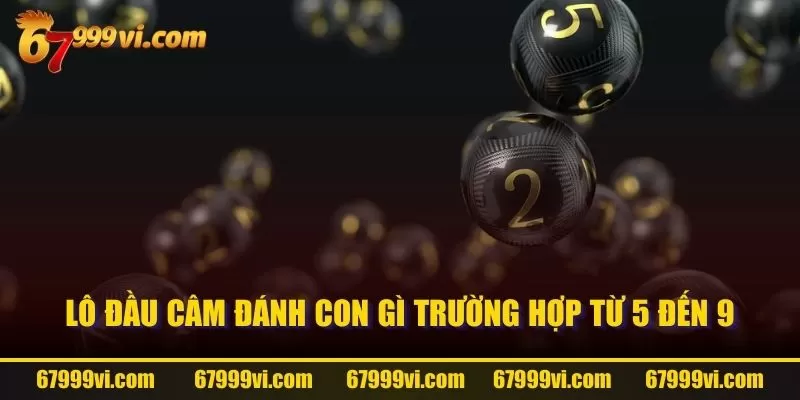 Lô đầu câm đánh con gì trường hợp từ 5 đến 9