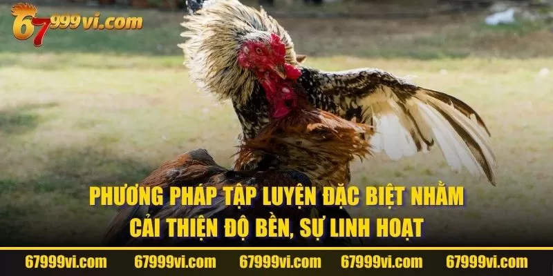 Phương pháp tập luyện đặc biệt nhằm cải thiện độ bền, sự linh hoạt