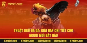 Thuật Ngữ Đá Gà