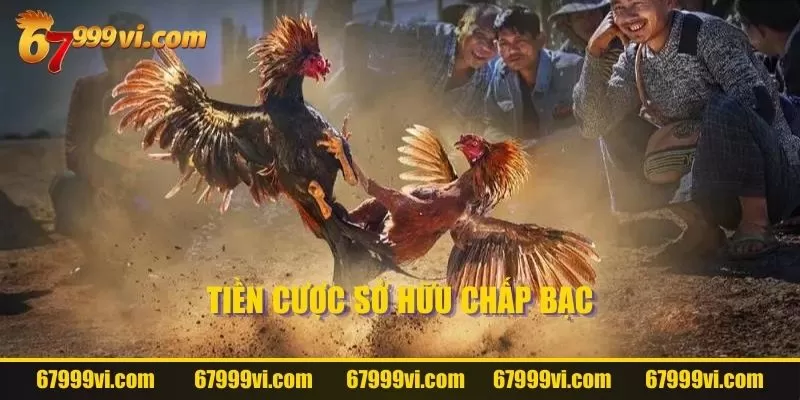 Tiền cược sở hữu chấp bạc