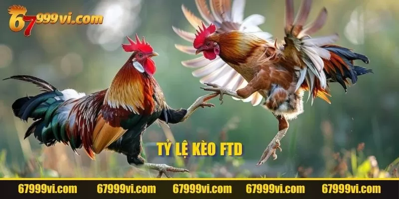 Tỷ lệ kèo FTD