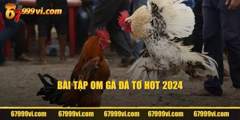 Bài tập om gà đá tơ hot 2024