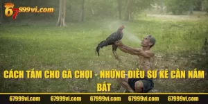 Cách Tắm Cho Gà Chọi