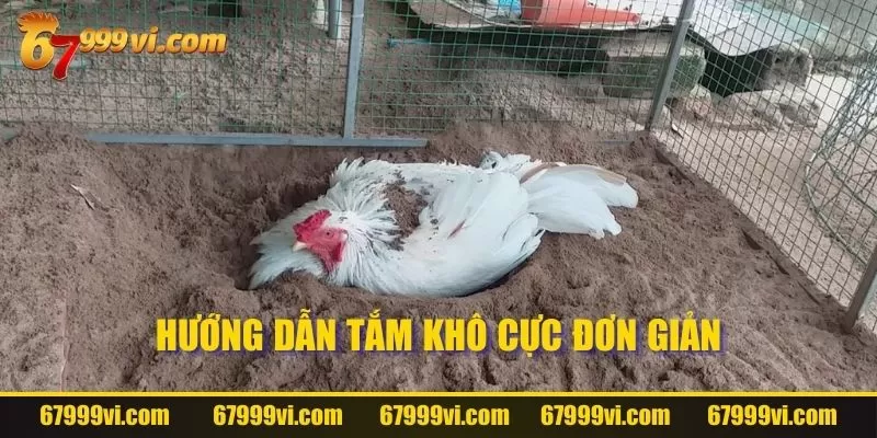 Tắm khô dành cho những ngày lạnh buốt