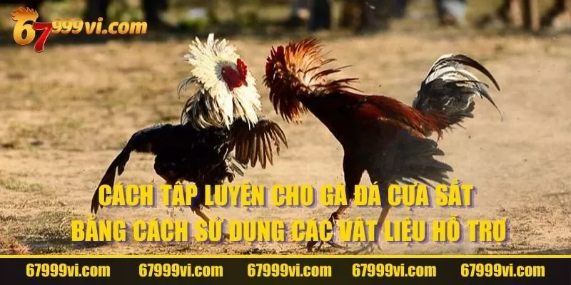 Cách tập luyện cho gà đá cựa sắt bằng cách sử dụng các vật liệu hỗ trợ