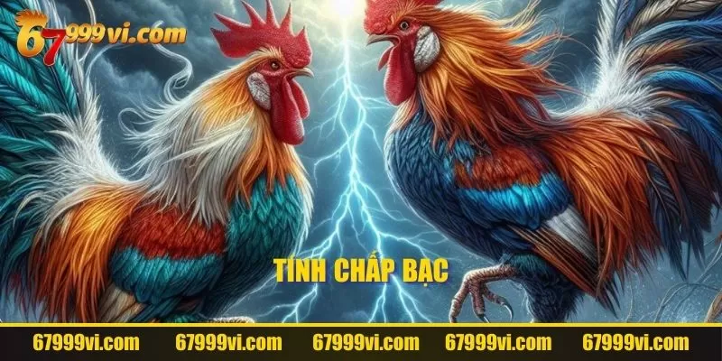 Tính chấp bạc